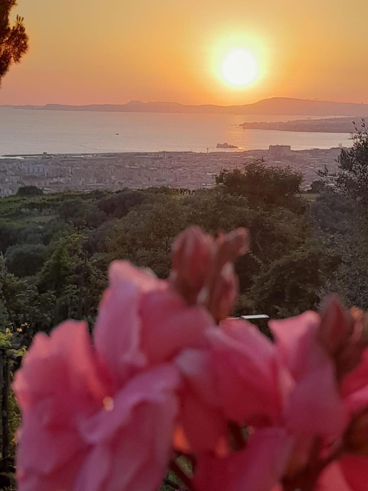 La Vigna Del Vento Bed & Breakfast Casola di Napoli Luaran gambar